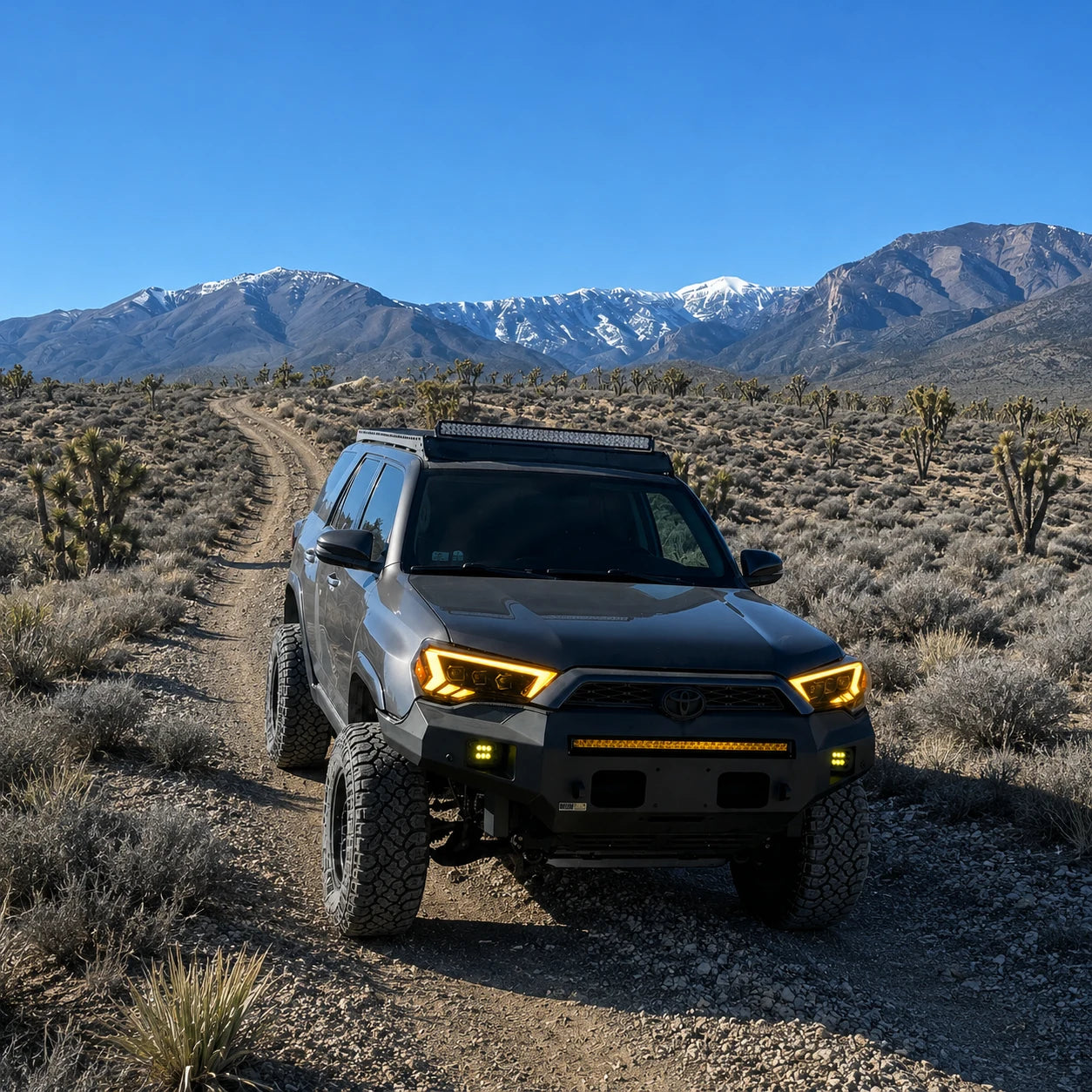 2014-2024 Toyota 4Runner LED Dual Projector Headlights — driving in desert — H-4RN14-3P