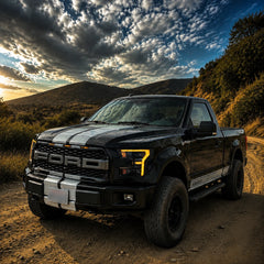 2015-2017 Ford F-150 LED Dual Projector Headlights — parking in wild — H-F150-15
