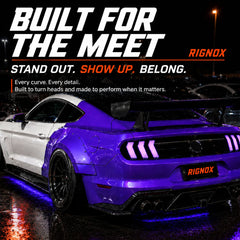 2015-2023 Ford Mustang S550 Euro Tri-Bar Sequential LED Tail Lights — car meet 1 — T-MUS15-CRGB