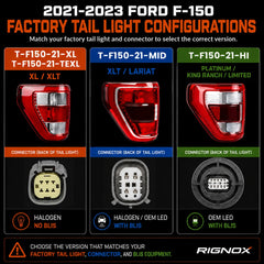 2021-2023 Ford F-150 LED Tail Lights Assembly — light configurations — T-F150-21-TEXL